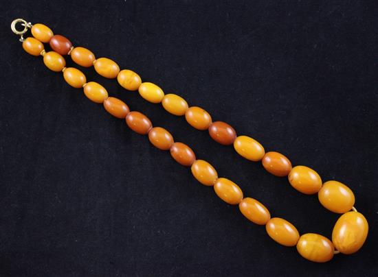 A single strand graduated amber bead necklace, 16in.